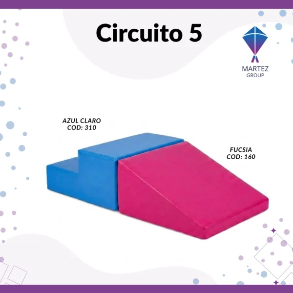 CIRCUITO 5 DE PSICOMOTRICIDAD