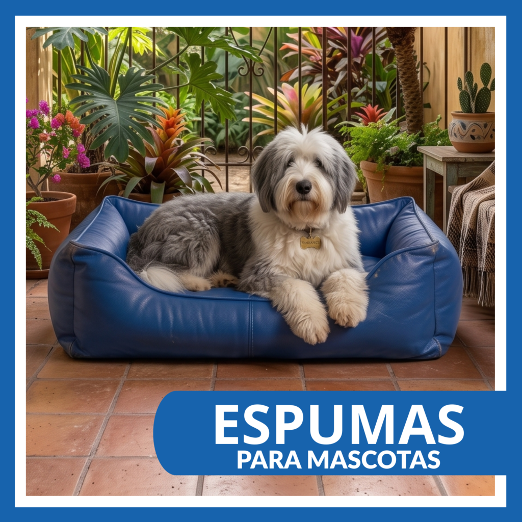Mascotas